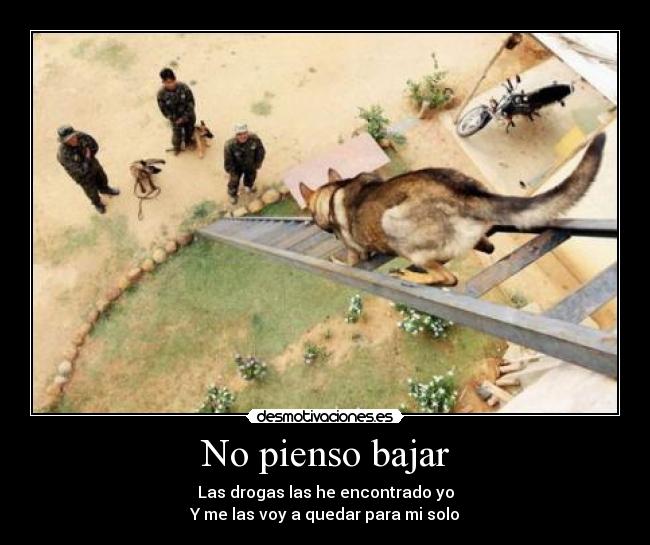 No pienso bajar -