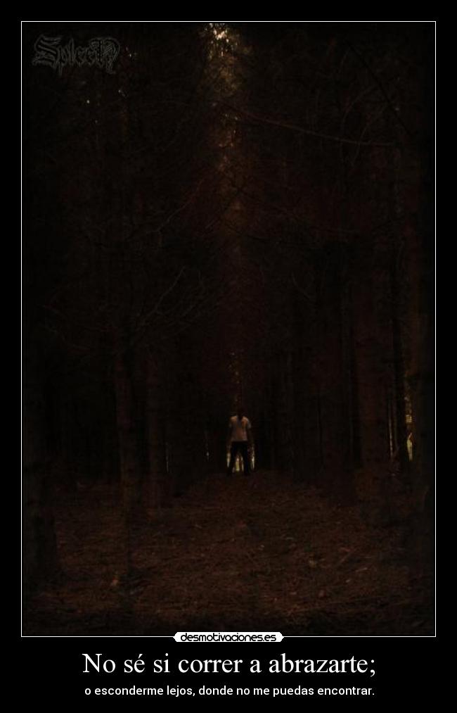 No sé si correr a abrazarte; - 