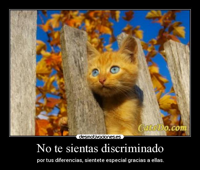 No te sientas discriminado - por tus diferencias, sientete especial gracias a ellas.