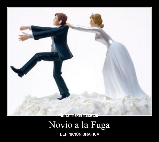 carteles novio desmotivaciones