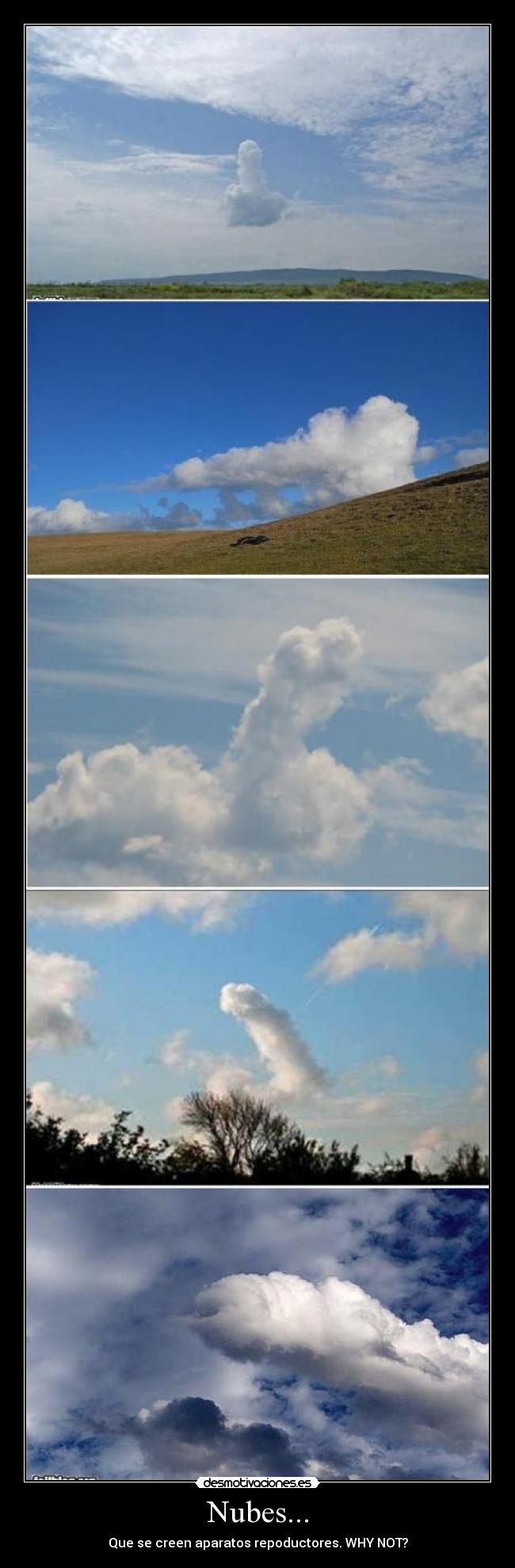 Nubes... - Que se creen aparatos repoductores. WHY NOT?