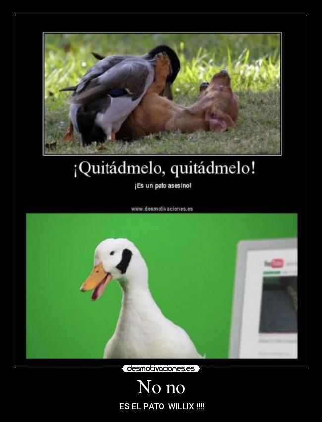 No no - ES EL PATO  WILLIX !!!!