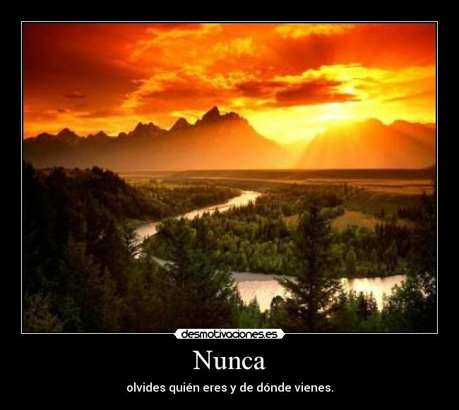 carteles ser desmotivaciones