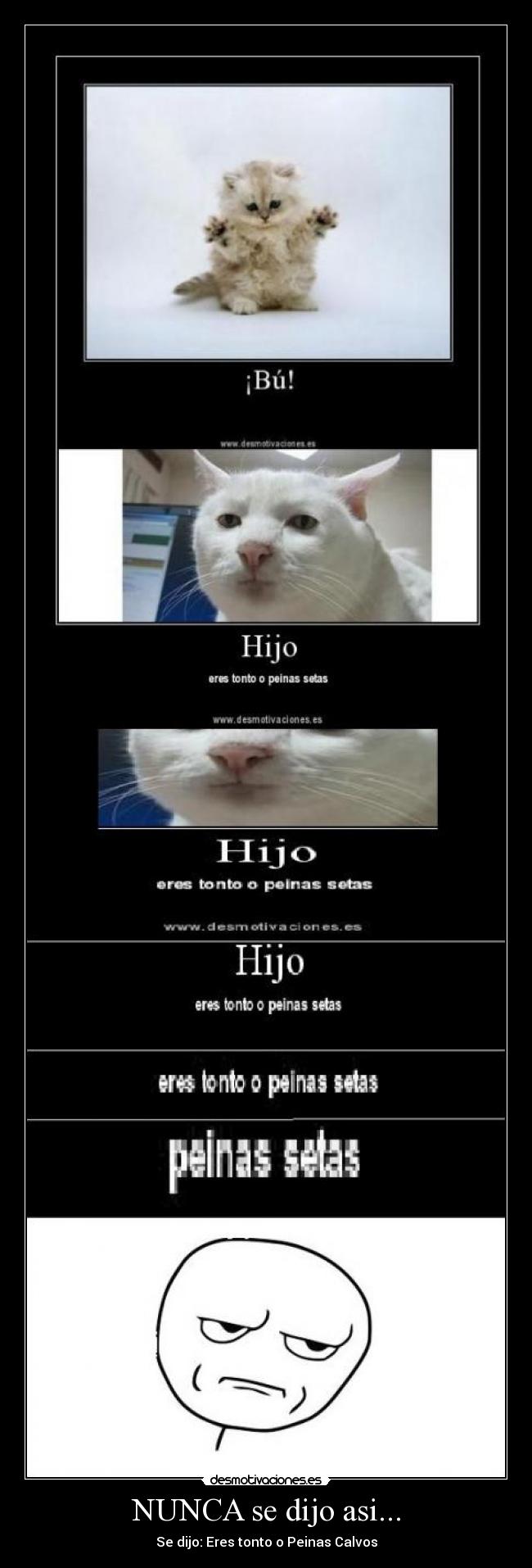 NUNCA se dijo asi... - 