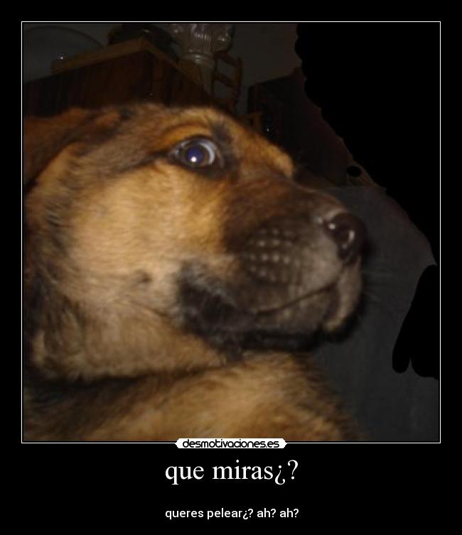 carteles 221cristian desmotivaciones