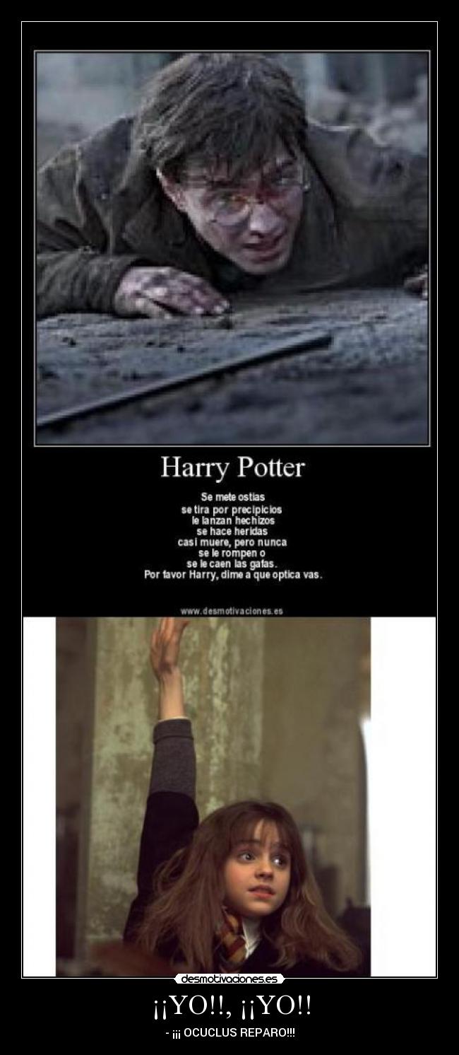 ¡¡YO!!, ¡¡YO!! - 