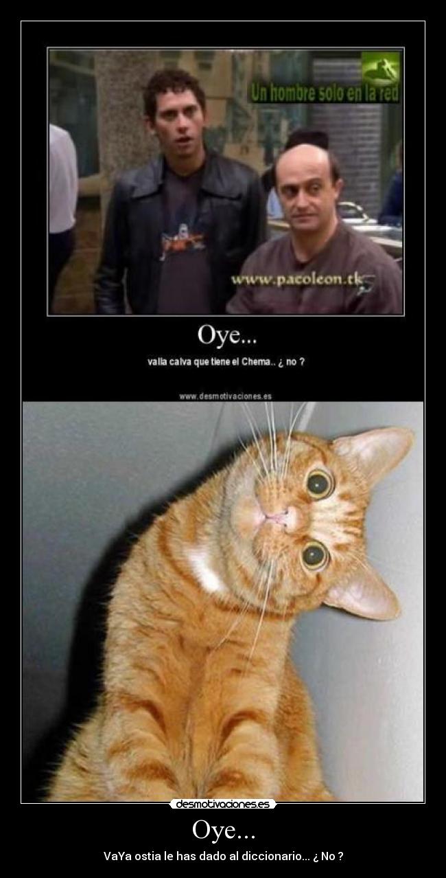Oye... - VaYa ostia le has dado al diccionario... ¿ No ?