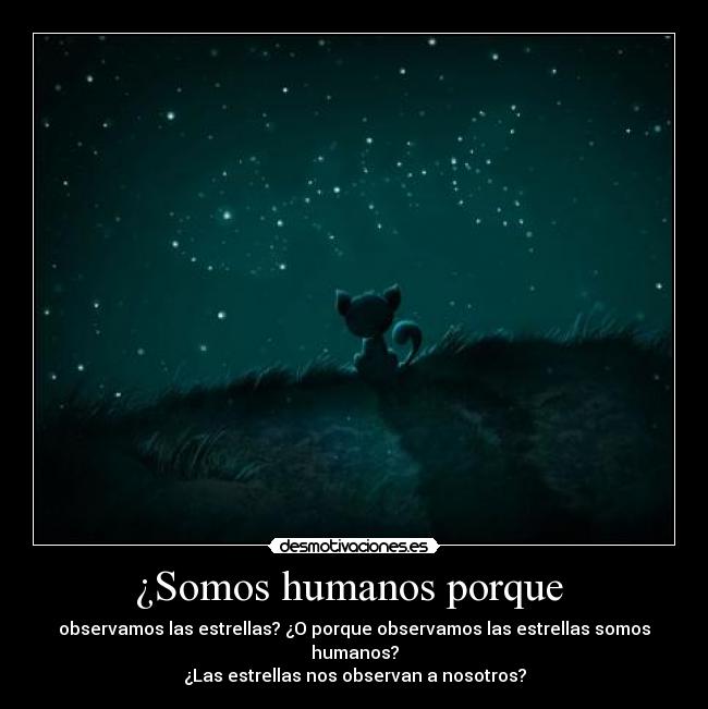 ¿Somos humanos porque -