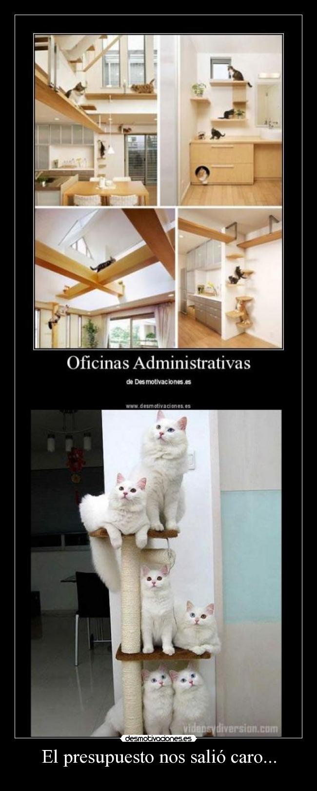 El presupuesto nos salió caro... - 