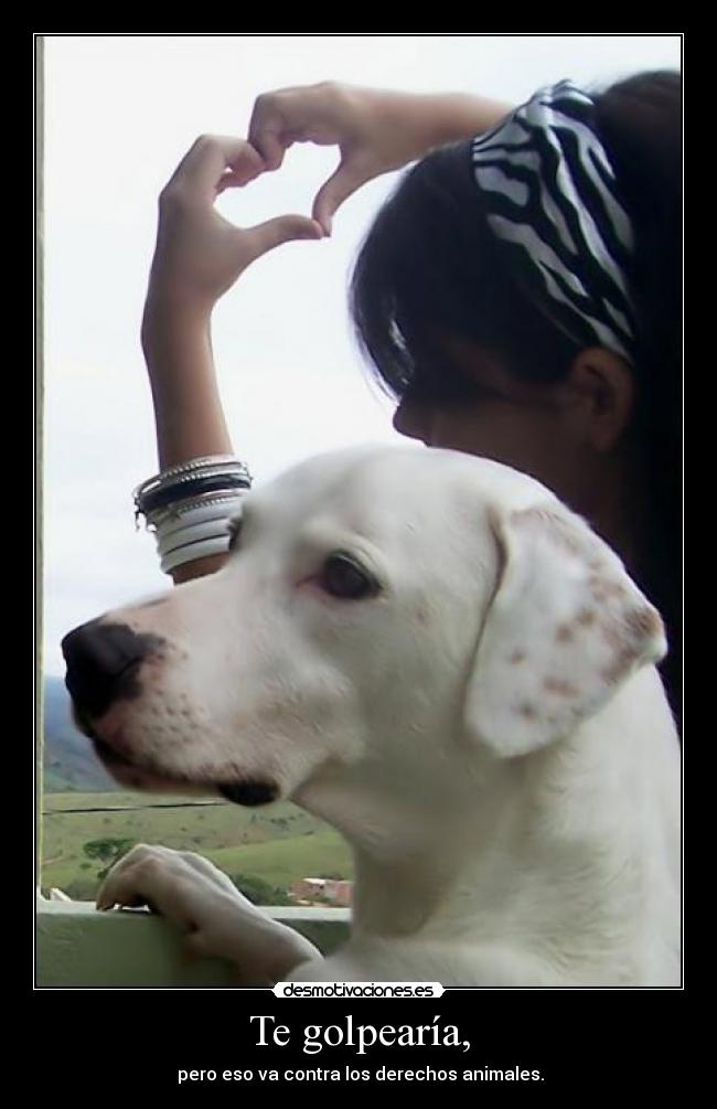 Te golpearía, - pero eso va contra los derechos animales.
