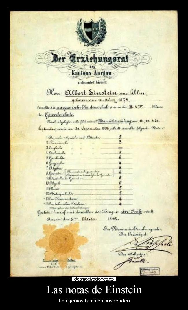 Las notas de Einstein - Los genios también suspenden