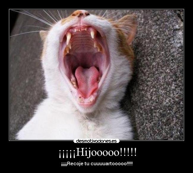 ¡¡¡¡¡Hijooooo!!!!! -