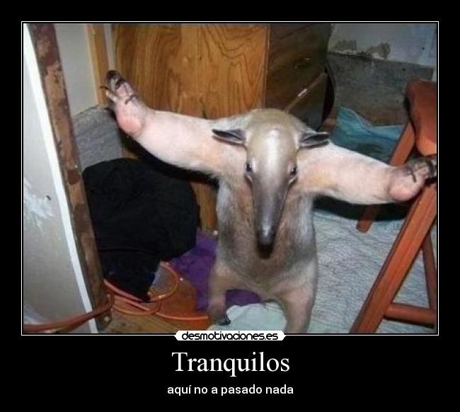 Tranquilos - 