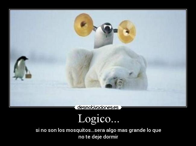 Logico... - si no son los mosquitos...sera algo mas grande lo que
no te deje dormir