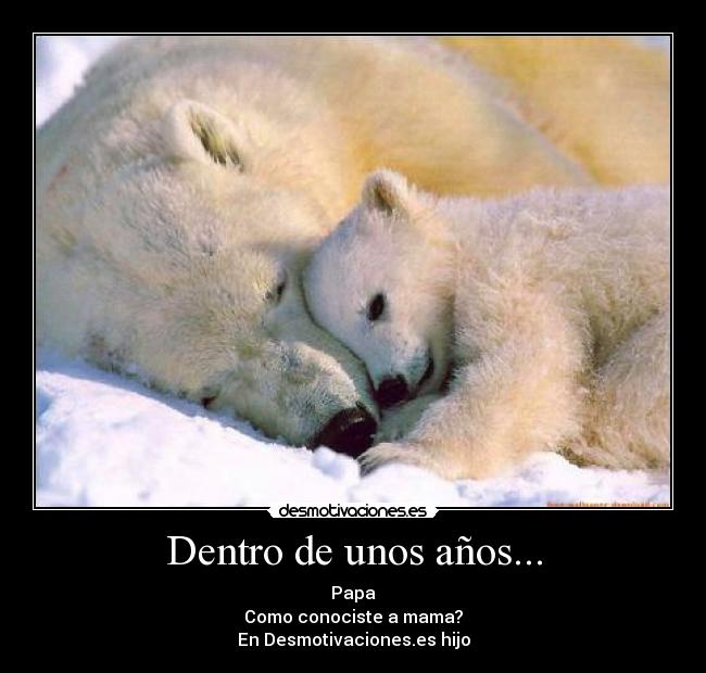 Dentro de unos años... - Papa
Como conociste a mama?
En Desmotivaciones.es hijo