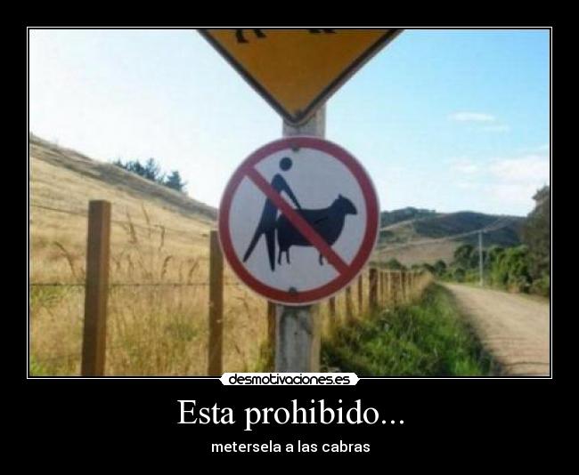 Esta prohibido... - metersela a las cabras