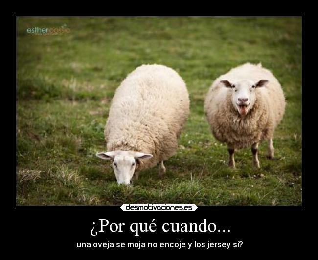 ¿Por qué cuando... -