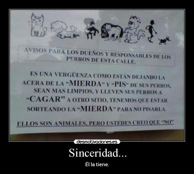 carteles sinceridad el tiene desmotivaciones