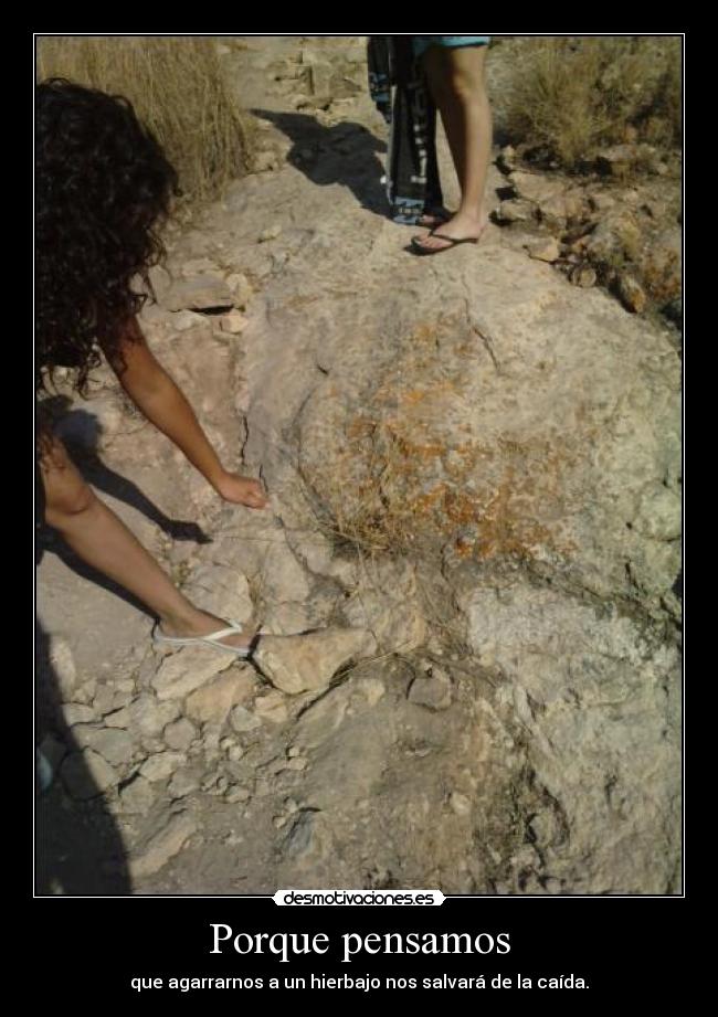 Porque pensamos - que agarrarnos a un hierbajo nos salvará de la caída.