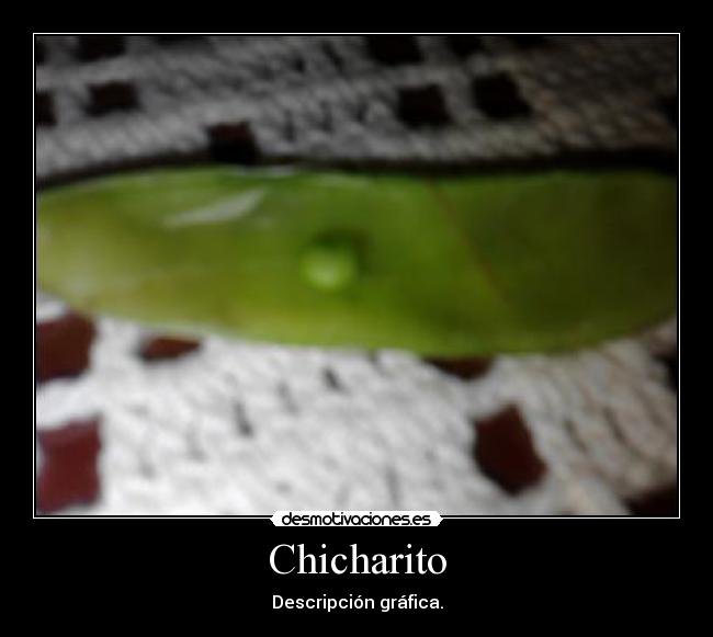 Chicharito - 