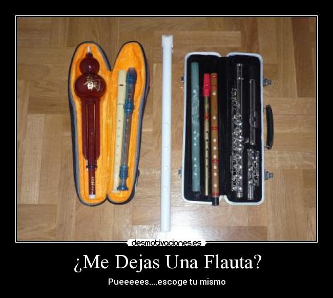 ¿Me Dejas Una Flauta? - 