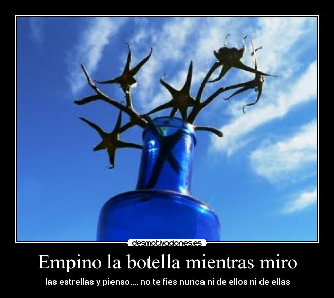 Empino la botella mientras miro - las estrellas y pienso.... no te fies nunca ni de ellos ni de ellas