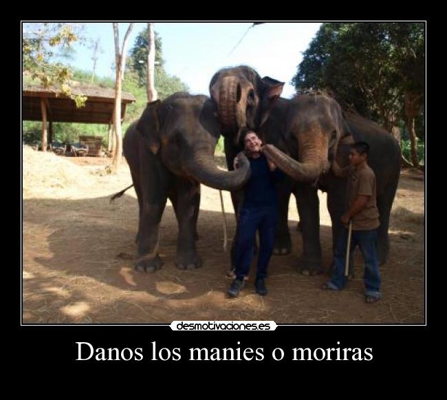 Danos los manies o moriras - 