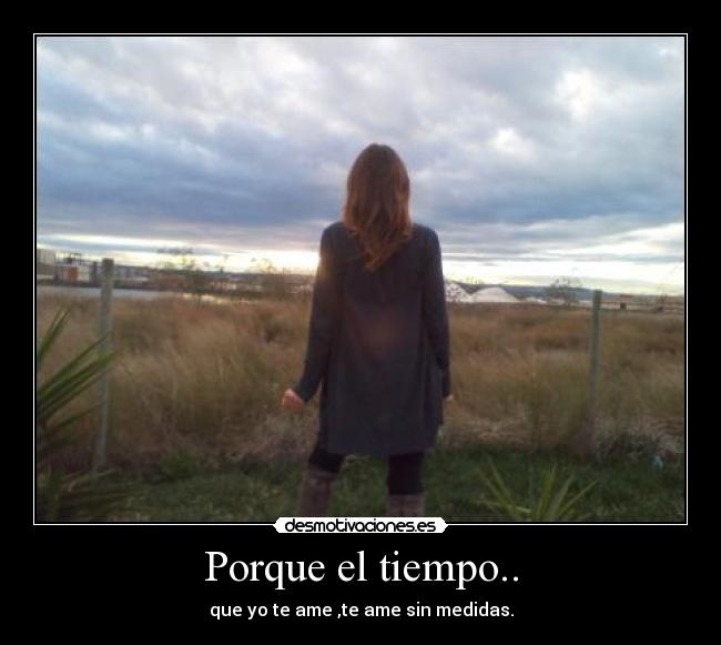 Porque el tiempo.. - que yo te ame ,te ame sin medidas.