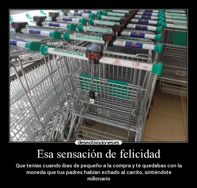 Esa sensación de felicidad -