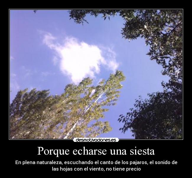 Porque echarse una siesta - En plena naturaleza, escuchando el canto de los pajaros, el sonido de
las hojas con el viento, no tiene precio