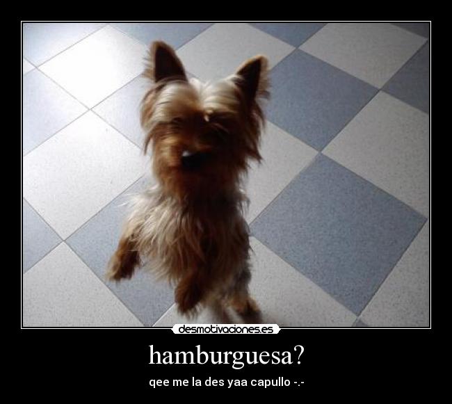 hamburguesa? -