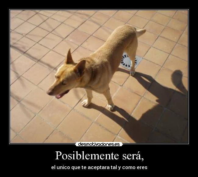 Posiblemente será, -