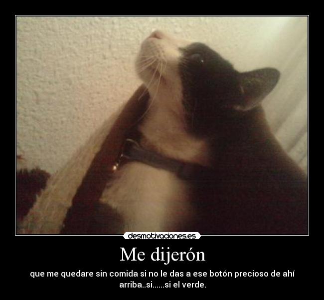Me dijerón - que me quedare sin comida si no le das a ese botón precioso de ahí
arriba..si......si el verde.