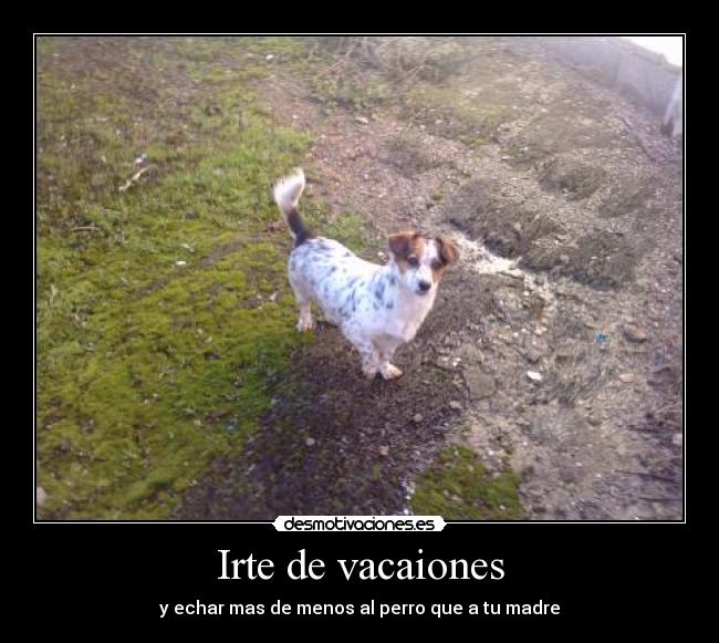 Irte de vacaiones - y echar mas de menos al perro que a tu madre