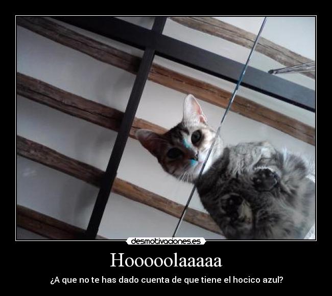 Hooooolaaaaa - ¿A que no te has dado cuenta de que tiene el hocico azul?