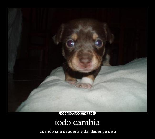 todo cambia - cuando una pequeña vida, depende de ti