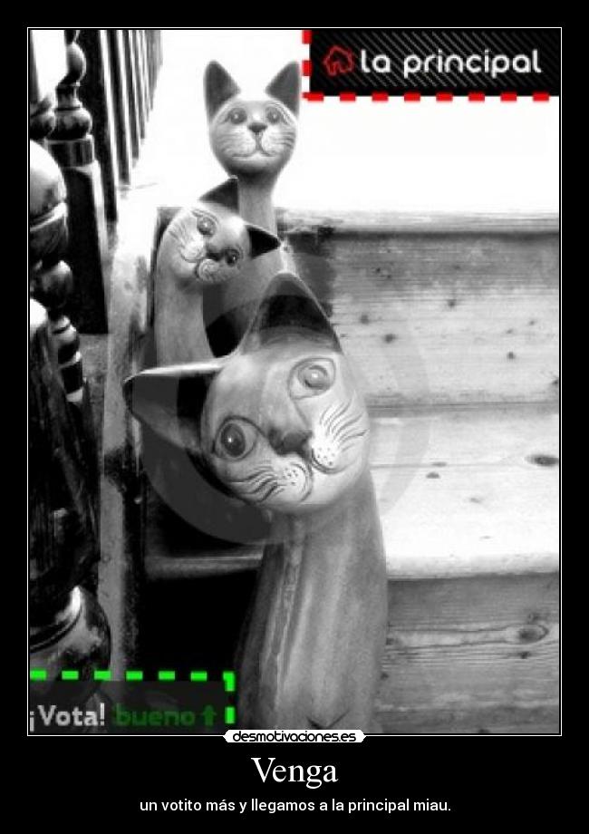 Venga - un votito más y llegamos a la principal miau.
