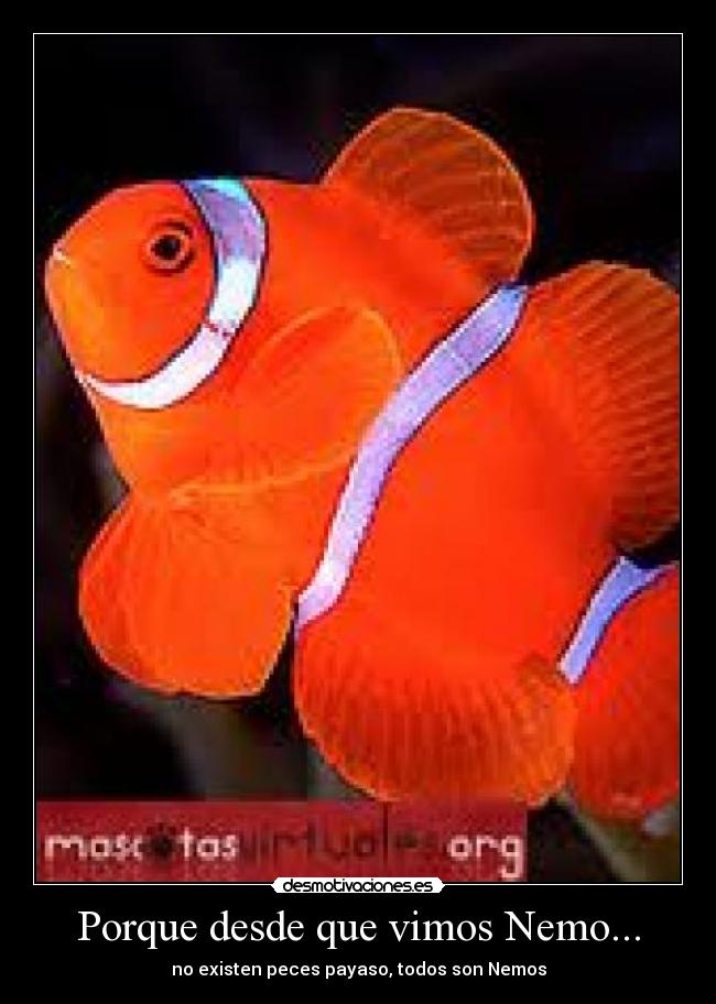 carteles nemo desmotivaciones