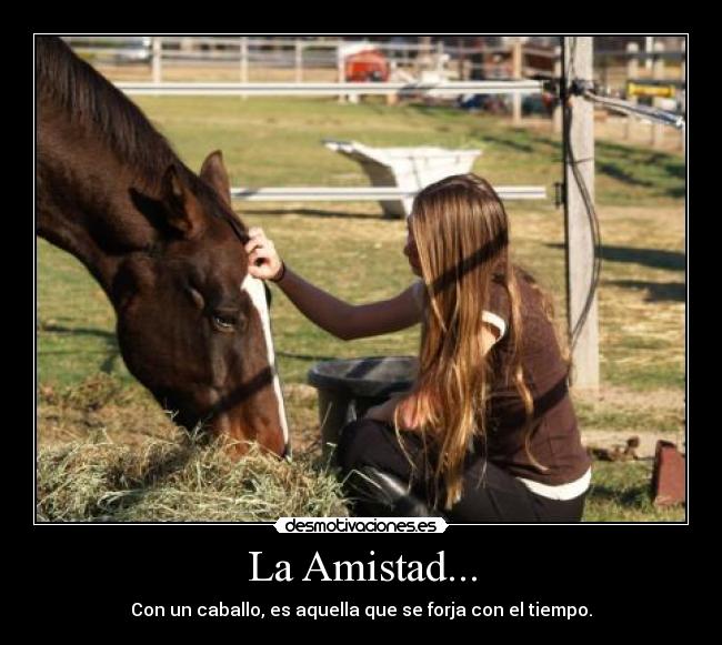 La Amistad... -