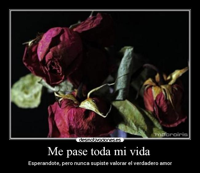 Me pase toda mi vida  - Esperandote, pero nunca supiste valorar el verdadero amor