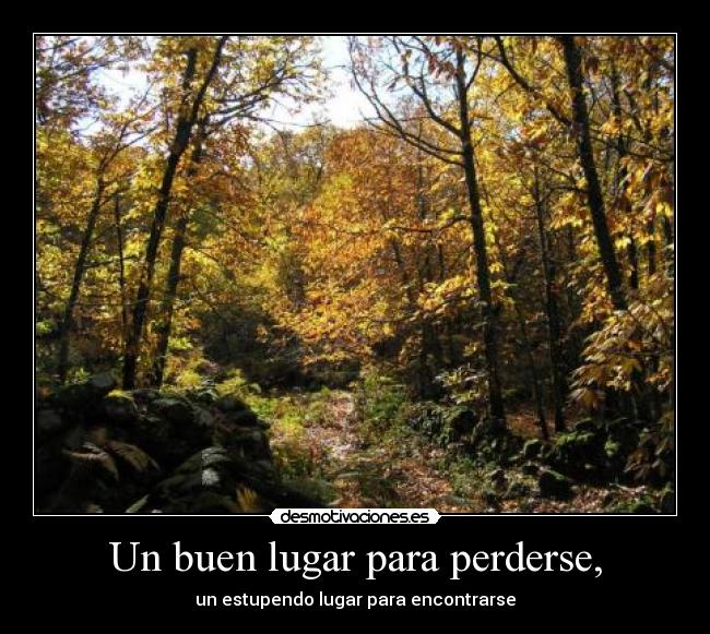 Un buen lugar para perderse, -