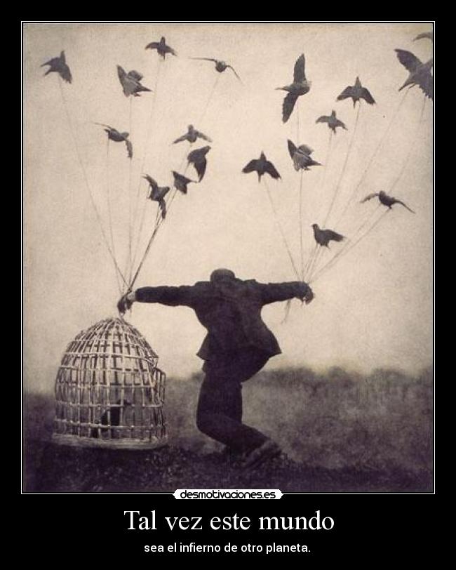 Tal vez este mundo - 