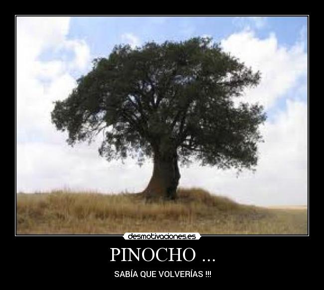 PINOCHO ... -