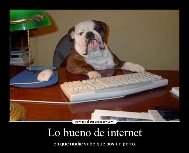 Lo bueno de internet -