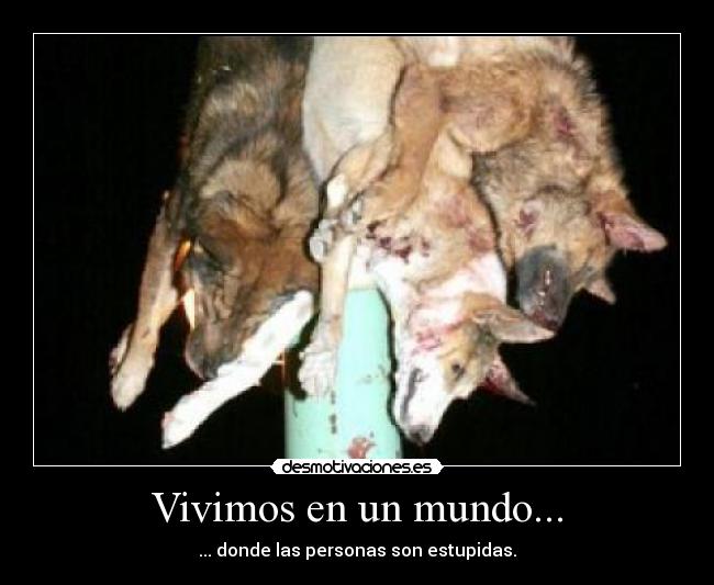 Vivimos en un mundo... -