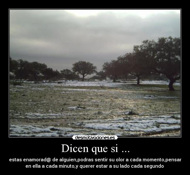 Dicen que si ... -