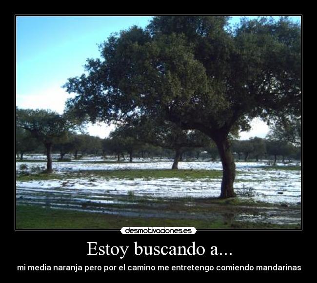 Estoy buscando a... -