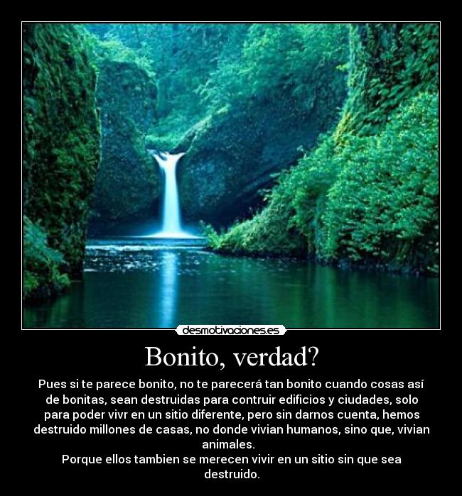 Bonito, verdad? -