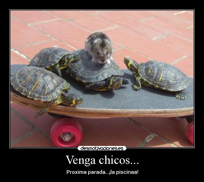 Venga chicos... - Proxima parada...¡la piscinaa!