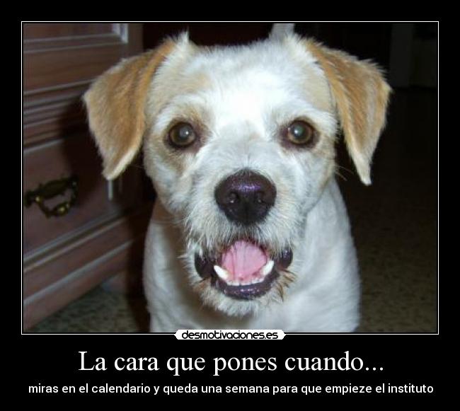 La cara que pones cuando... - miras en el calendario y queda una semana para que empieze el instituto